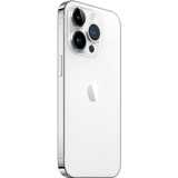 Apple 4-00-10006 argento
