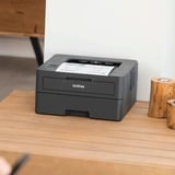 Brother HLL2400DWRE1, Stampante laser grigio scuro