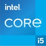 Intel® Core i5-12400T processore 18 MB Cache intelligente Intel® Core™ i5, LGA 1700, Intel, i5-12400T, 64-bit, Intel® Core™ i5 di 12a generazione, Tray