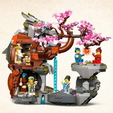 LEGO 71819, Giochi di costruzione 