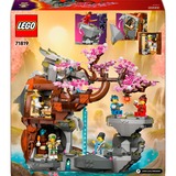 LEGO NINJAGO Santuario della pietra del drago, Giochi di costruzione Set da costruzione, 13 anno/i, Plastica, 1212 pz, 1,62 kg