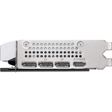 MSI V536-001R, Scheda grafica 
