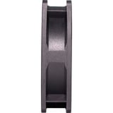 Xilence XPF92.R Case per computer Ventilatore 9,2 cm Nero, Rosso, Ventola Nero/Rosso, Ventilatore, 9,2 cm, 1500 Giri/min, 21 dB, 27,45 pdc/min, Nero, Rosso