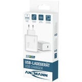 Ansmann Home Charger HC165PD / 4,5 A / 65 W / 1 porta, Caricabatterie bianco
