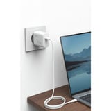 Ansmann Home Charger HC165PD / 4,5 A / 65 W / 1 porta, Caricabatterie bianco