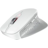 CHERRY JW-8550-0 mouse Universale Mano destra RF Wireless Ottico 4000 DPI bianco, Mano destra, Ottico, RF Wireless, 4000 DPI, Grigio, Bianco