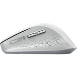 CHERRY JW-8550-0 mouse Universale Mano destra RF Wireless Ottico 4000 DPI bianco, Mano destra, Ottico, RF Wireless, 4000 DPI, Grigio, Bianco