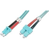 Digitus DK-2532-02/3, Cavo turchese