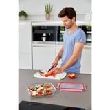 Emsa CLIP & CLOSE N10406 Rettangolare Scatola 0,7 L Trasparente 1 pz, Casella trasparente/Rosso, Scatola, Rettangolare, 0,7 L, Trasparente, Vetro, 420 °C