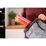 Emsa CLIP & CLOSE N10406 Rettangolare Scatola 0,7 L Trasparente 1 pz, Casella trasparente/Rosso, Scatola, Rettangolare, 0,7 L, Trasparente, Vetro, 420 °C