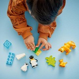 LEGO 10442, Giochi di costruzione 