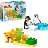 LEGO DUPLO 10442 Famiglie di Animali: Pinguini e Leoni, Giochi Didattici per Bambini e Bambine da 2+ Anni, Giocattolo Creativo, Giochi di costruzione Giochi Didattici per Bambini e Bambine da 2+ Anni, Giocattolo Creativo, Set da costruzione, 2 anno/i, Plastica, 10 pz, 179 g