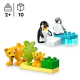 LEGO DUPLO Famiglie di animali: pinguini e leoni, Giochi di costruzione Set da costruzione, 2 anno/i, Plastica, 10 pz, 179 g