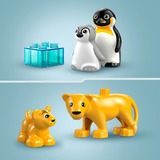 LEGO Famiglie di animali: pinguini e leoni, Giochi di costruzione Set da costruzione, 2 anno/i, Plastica, 10 pz, 179 g