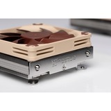 Noctua Kühler NH-L9i 17xx Processore Refrigeratore 9,2 cm Beige, Marrone 1 pz Refrigeratore, 9,2 cm, 600 Giri/min, 2500 Giri/min, 23,6 dB, 57,5 m³/h