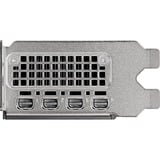 PNY NVIDIA RTX 2000 Ada Generation 16GB SB, Scheda grafica 