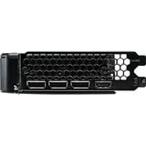 Palit NE7506T019P1-GB2062D 