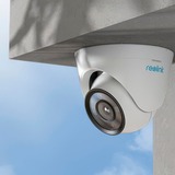 Reolink P434, Telecamera di sorveglianza bianco/Nero