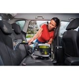 Ryobi 5133006212, Aspirapolvere lavaggio verde/Nero