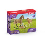 Schleich HORSE CLUB 42432 set da gioco, Gioco figura 5 anno/i, Multicolore