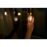 Shelly 3800235262092, Lampada a LED 