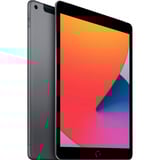 Apple iPad 10,2 grigio