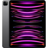 Apple iPad Pro 12,9" grigio
