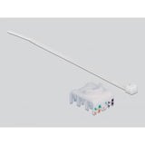 DeLOCK 86014, Modulo di Keystone grigio