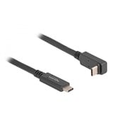 DeLOCK Cavo USB 3.2 Gen 2, connettore USB-C > connettore USB-C Nero