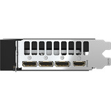 GIGABYTE GV-N506TAORUS E-16GD, Scheda grafica 