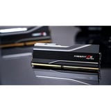 G.Skill F5-6000J2636H48GX2-TZ5NR 