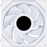 Lian Li 12RTLLCD1W, Ventola bianco