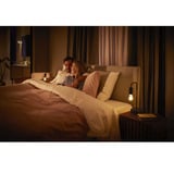 Philips Hue 929002477504, Lampada a LED 