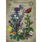 Ravensburger Puzzle - Cerchio della vita Farfalla 
