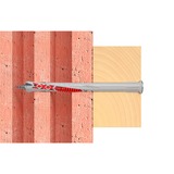 fischer Tassello a gambo lungo DuoXpand 10x100 T grigio chiaro/Rosso