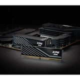 ADATA AX5U6000C4816G-DTLABBK, Memoria Nero