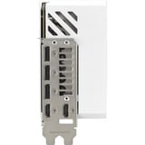 ASUS 90YV0LV5-M0NA00, Scheda grafica bianco