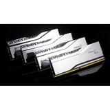 G.Skill F5-8000J4048F24GX2-TR5S, Memoria argento