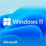 Microsoft Windows 11 Home 1 licenza/e 1 licenza/e, 1 utente(i), Tedesca, Chiavetta USB
