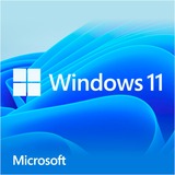 Microsoft Windows 11 Home 1 licenza/e, Software 1 licenza/e, 1 utente(i), Tedesca, Chiavetta USB