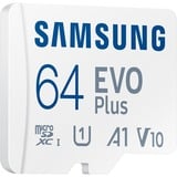 SAMSUNG EVO Plus 64 GB microSDXC (2024) bianco