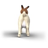 Schleich Farm World Capra di Burenzio, Gioco figura 