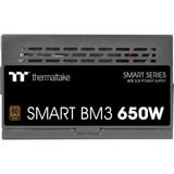 Thermaltake SMART BM3 650W, Alimentatore PC Nero