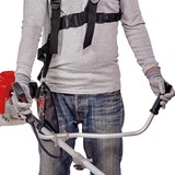 EINHELL GC-BC 25/1 I AS 23 cm 600 W Benzina Nero, Grigio, Rosso rosso/Nero, Tagliabordi, 23 cm, Impugnatura a U, 2 mm, 4 m, 6600 Giri/min
