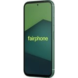 Fairphone Fairphone 5 128GB, Handy verde