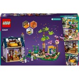LEGO 42669, Giochi di costruzione 