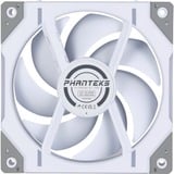 Phanteks D30-120 PWM Reverse DRGB, Ventola bianco