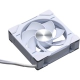 Phanteks PH-F120D30R_DRGB_PWM_WT01_3P, Ventola bianco
