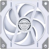 Phanteks PH-F120D30R_DRGB_PWM_WT01_3P, Ventola bianco