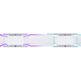 Phanteks PH-F120D30R_DRGB_PWM_WT01_3P, Ventola bianco